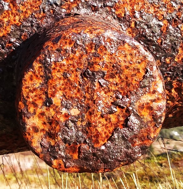 __wf_reserved_inherit