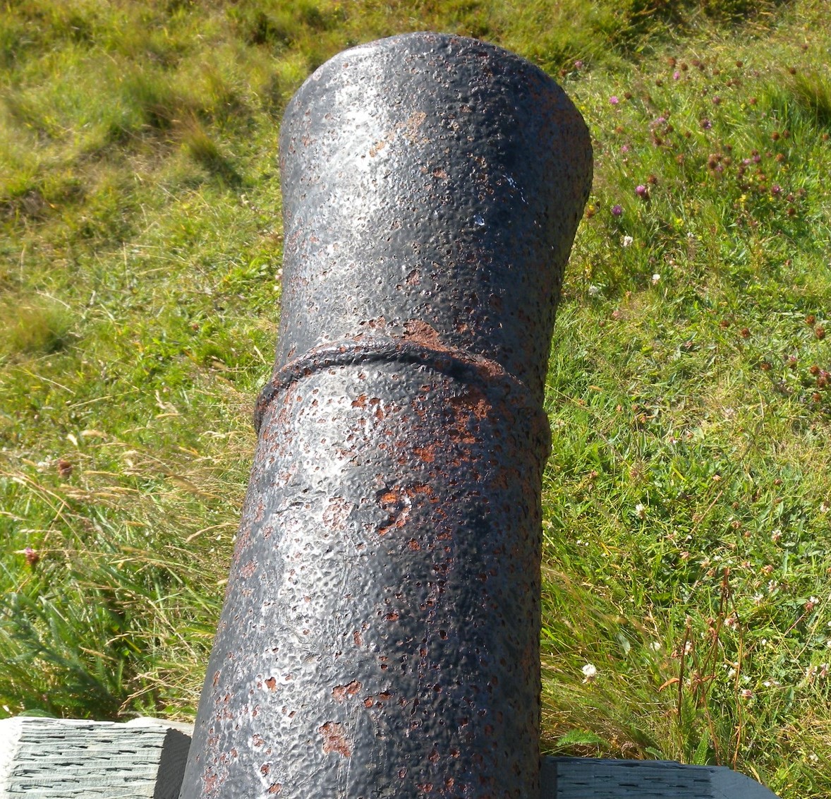 __wf_reserved_inherit