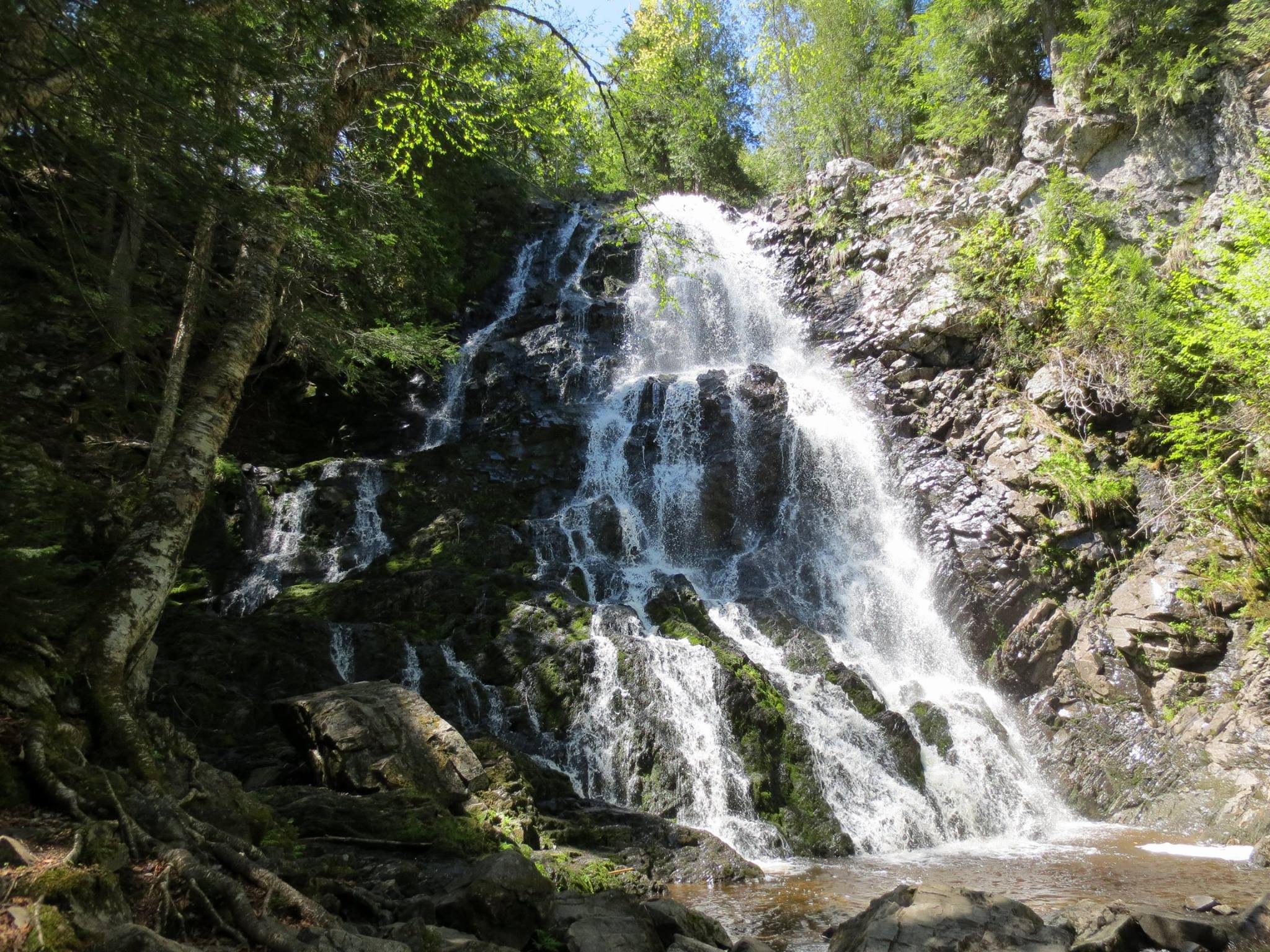 __wf_reserved_inherit