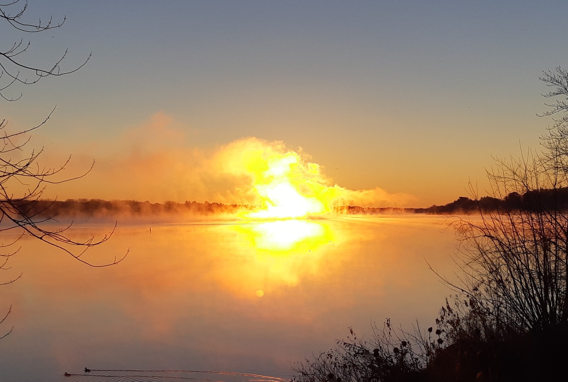 __wf_reserved_inherit