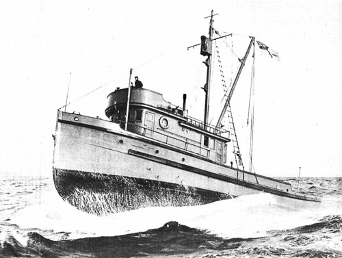 __wf_reserved_inherit