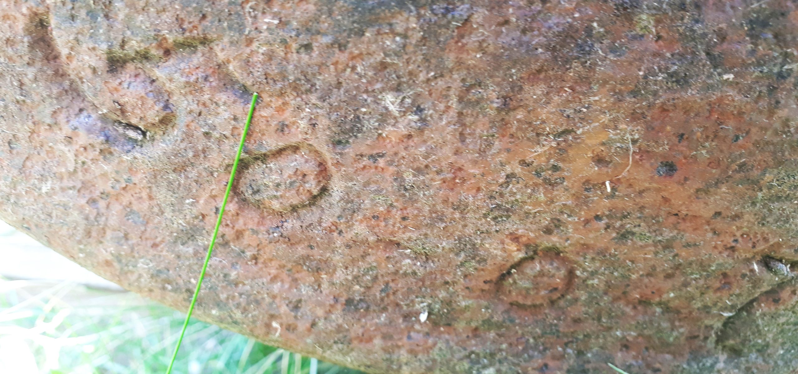 __wf_reserved_inherit