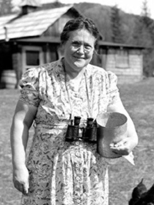 __wf_reserved_inherit