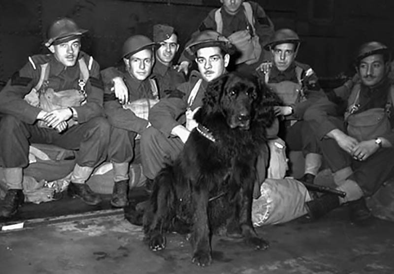 __wf_reserved_inherit