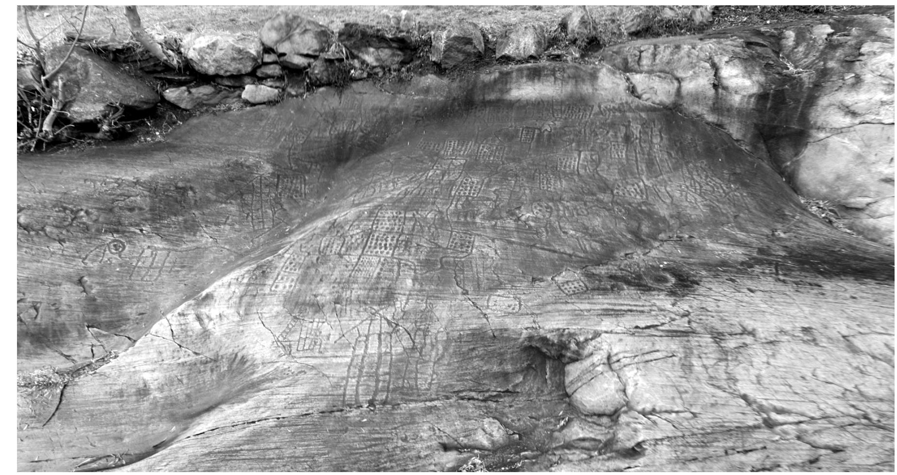 Figure 1. The Bedolina Map  The mappiform at Bedolina (see Figure 1) is situated in a commanding position on the western slope above the valley floor just outside Capo di Ponte in the mid-section of Valcamonica. It is probably the most complex example known in the valley. The rock itself measures about 9m x 4.3m while the engraved area measures about 4.3m x 2.4m. There are 6 readily identifiable buildings and around 30 fields — that is,  geometric forms typically identified as fields. 